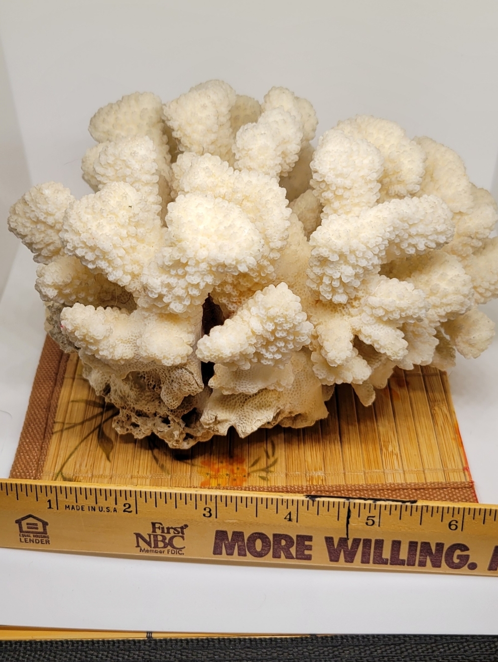 Vintage Natural White Ocean Coral Specimen Large - Picture 4 of 9